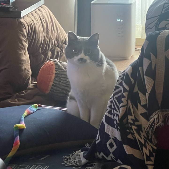 4ebc78e1 421f 4cd0 aaa0 d081d17079ce 1708215190230