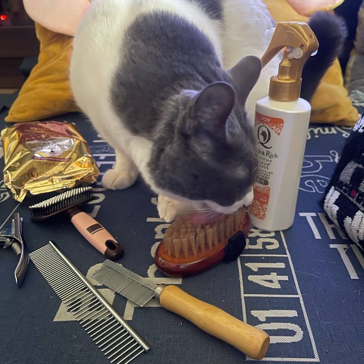 4ebc90b2 d08d 4b45 bf41 72eed3eaf54e 1740874468294