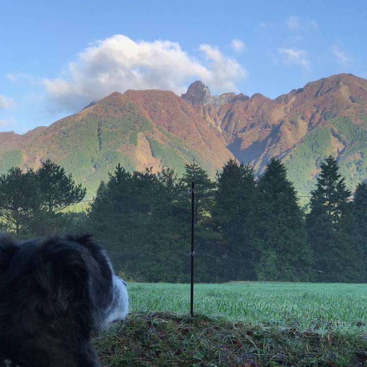 4ebcabfd c91c 4d8a 9115 2ce65b55e53a 1540387333947