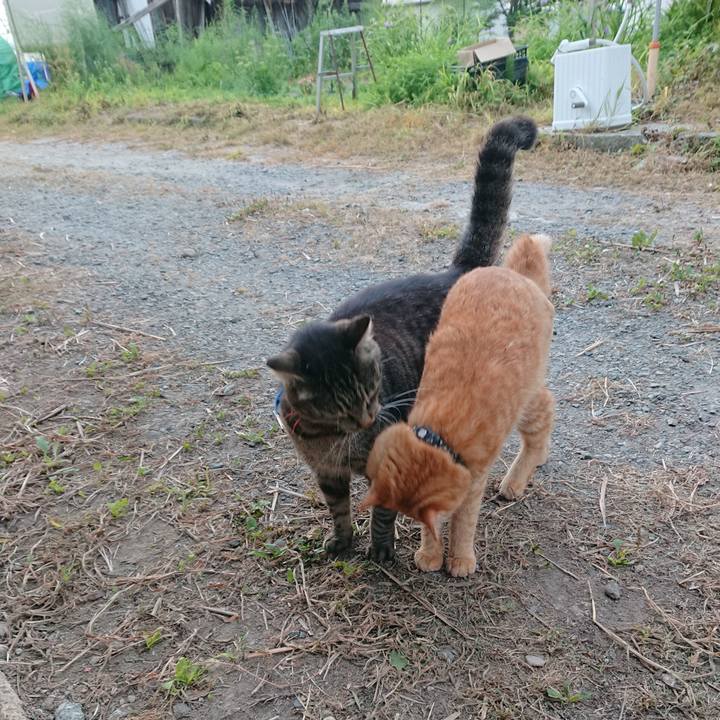 4ebcaefe bc15 46de b0c3 8a8c705c489b 1657573326493