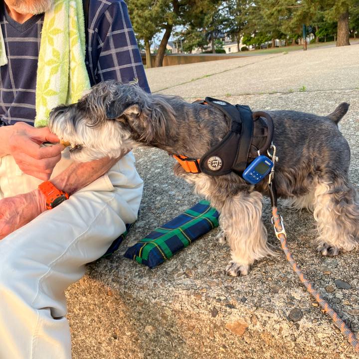 4ebcdfa1 a022 43fa b40e 97bd94a074ae 1747750949559