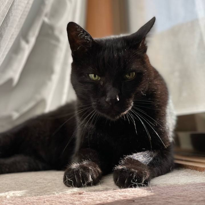 4ebce337 0e15 4d53 a56a 48998de1db92 1638406841566