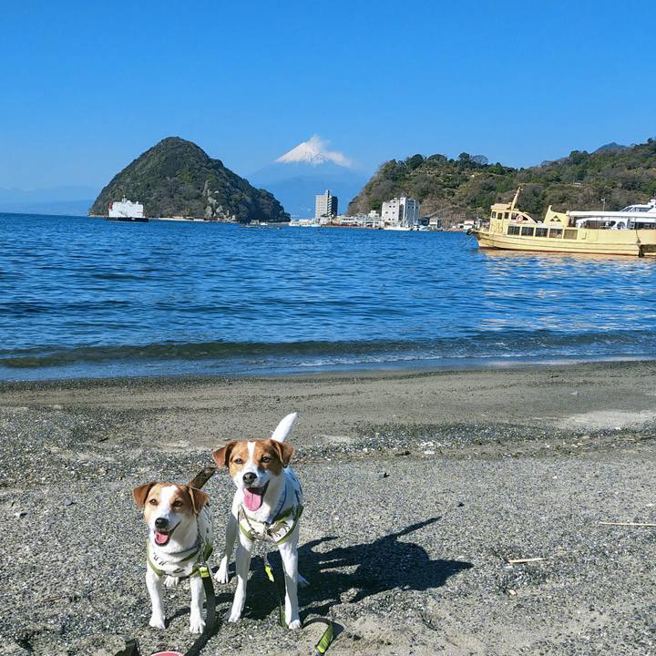 4ebd68c9 de8f 4efe 80b9 2f2ce9357ebd 1768565144497