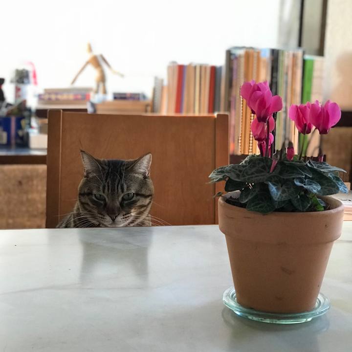 4ebdc836 4280 4203 ac08 e0cd5833fa2c 1511918458779