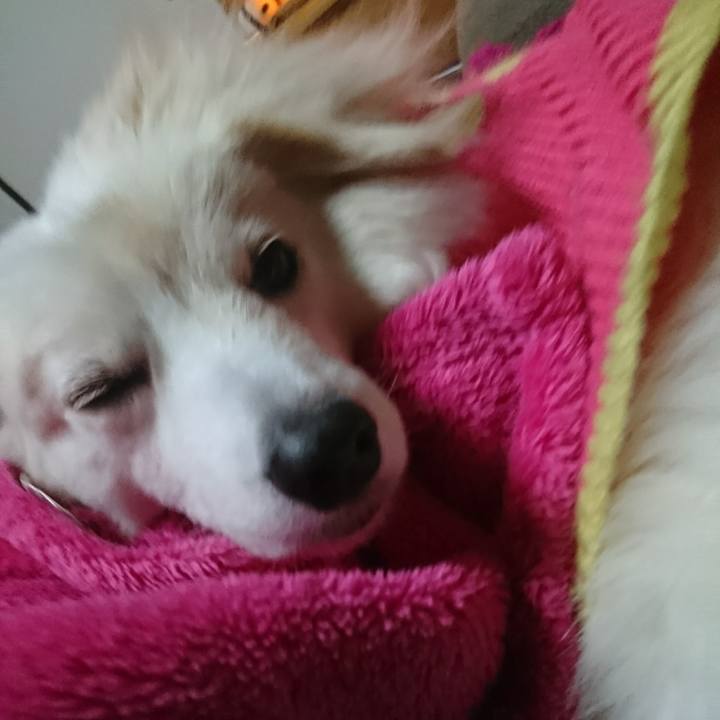 4ebdc87e 878e 4925 9360 3ce71fe462e7 1517435265408