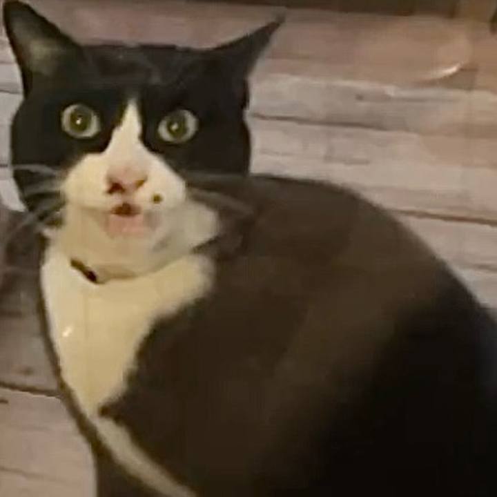 4ebe02c9 f735 4cd6 b242 033e074e016c 1734254878710