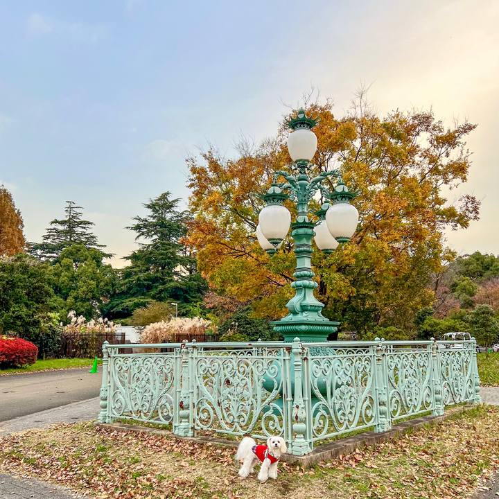 4ebe5aa7 975e 4dbb 8a4d 3b7185352e27 1669607765012