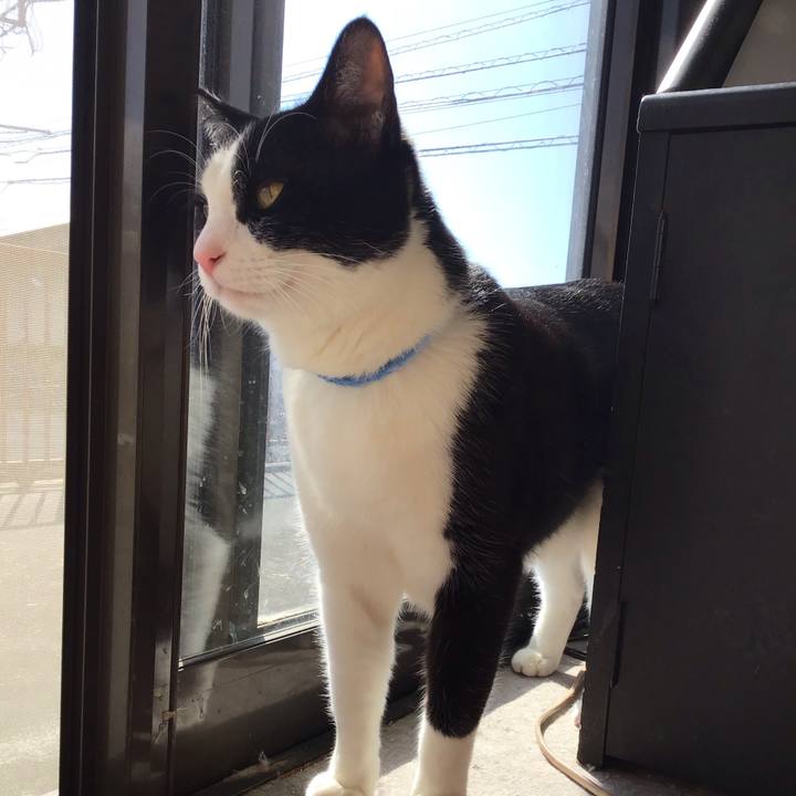 4ebe67c1 4c1e 47e1 967d 991a176ce208 1678086045416