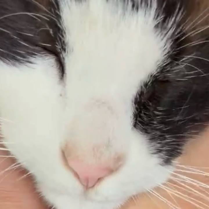 4ebe67d6 8551 4151 a9af de1d2819cff5 1747190087492