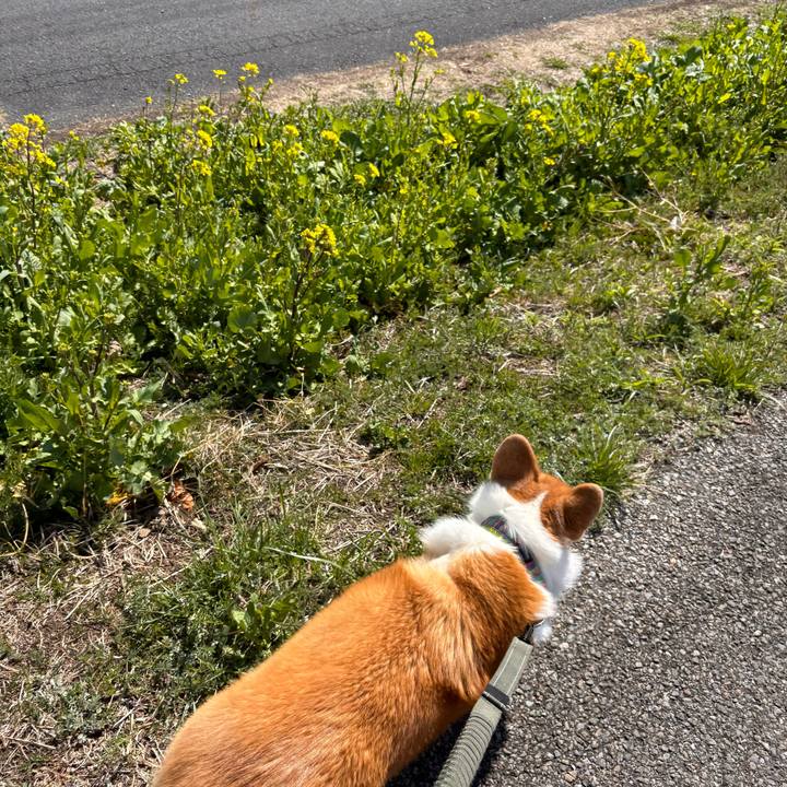 4ebe6b51 c359 4614 8625 f29d6a0c3b99 1773284860576