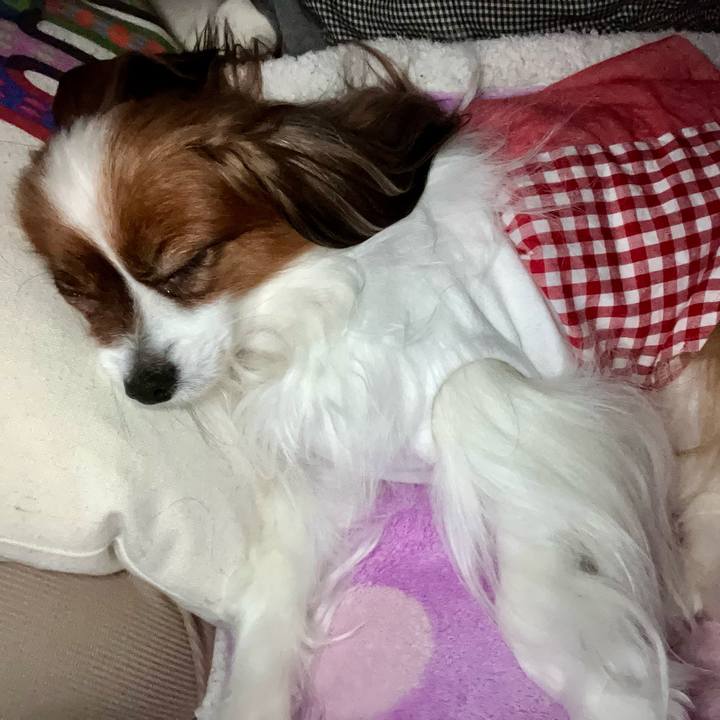 4ebe88fe 4b5f 47cf a689 4f1d5f5b56d8 1713605014356