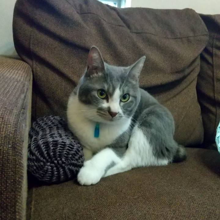 4ebea935 b163 4c4c 8168 729b80ffb1eb 1650020996493