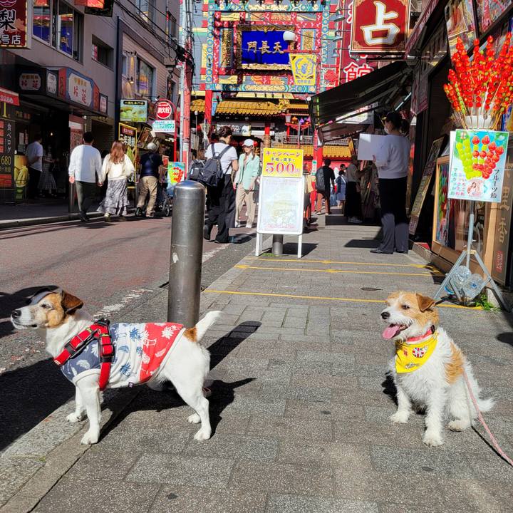 4ebeb025 23b6 4a99 b2a0 27f032f0c439 1715436234768