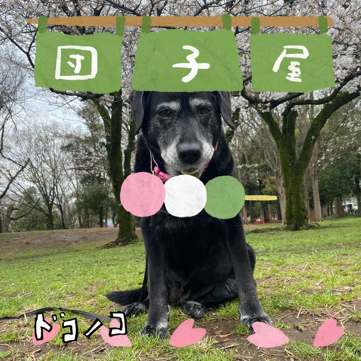 4ebec12b fac2 4b85 8b7d d9010e9cb08c 1712278254046