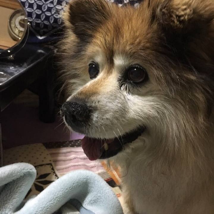 4ebf1147 e98e 4449 bdcd 56b37264733d 1555197785445