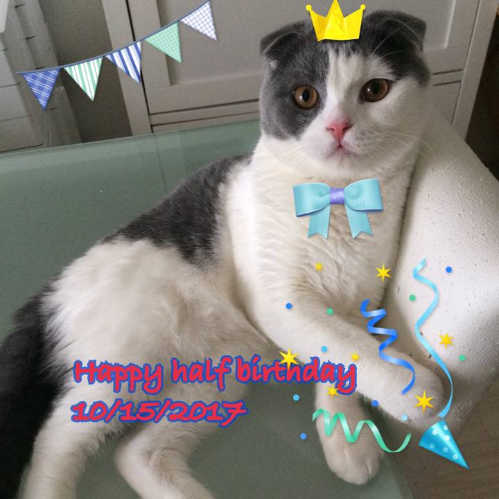 4ebfa8a2 be0f 4559 9f4c 6884e841fd25 1508069117501