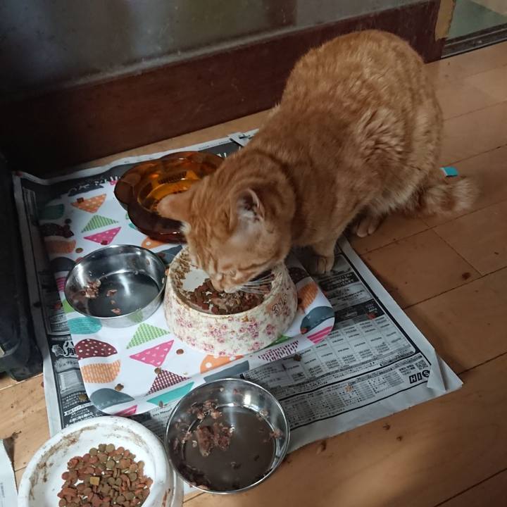 4ebfdca0 d4e7 467f 8725 a266c4440ab7 1651924299047