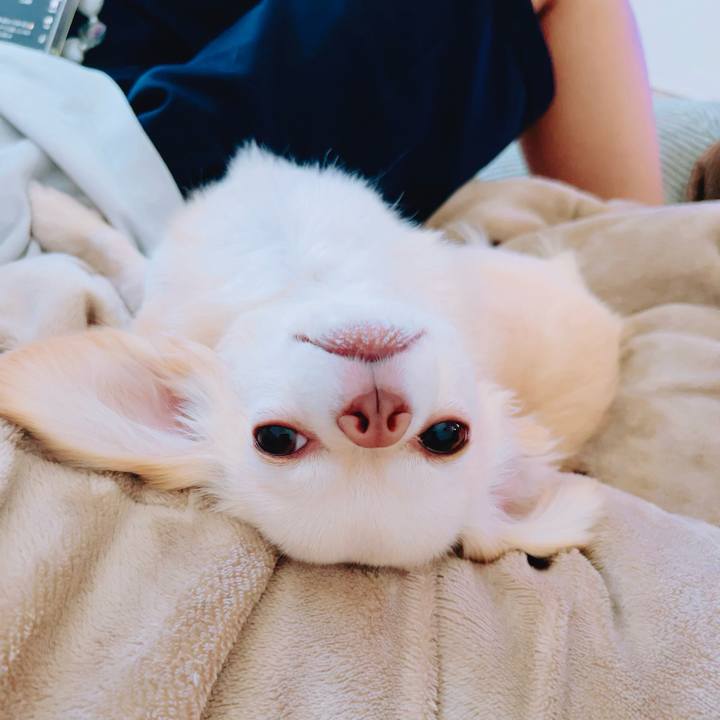 4ebff0a6 8af7 4cdd 88f6 9dc95a6bc16b 1688734003412