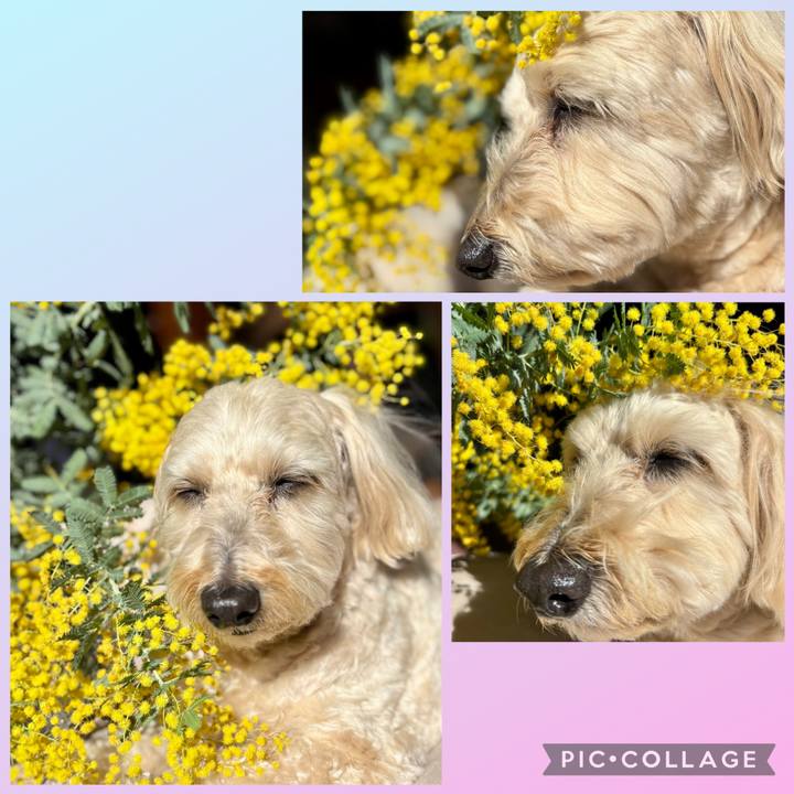 4ec0149b a4f1 41e4 977f a6e29a6d8088 1773116102691