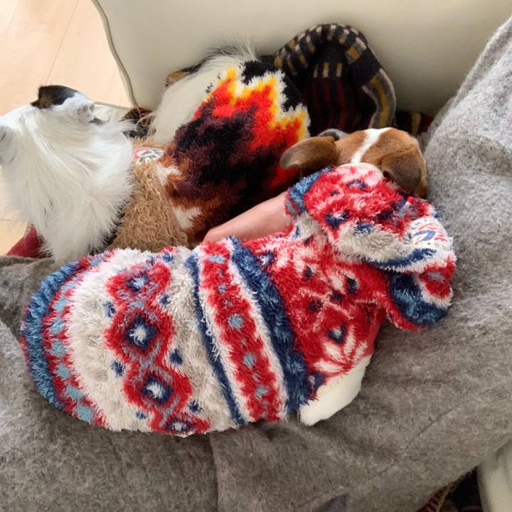 4ec06069 82ef 46a2 86e1 38a8ff0b324e 1549608316638