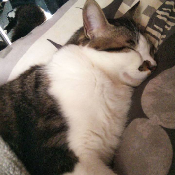 4ec06201 9fdd 4adc 9c1b 917a72886882 1644639536840