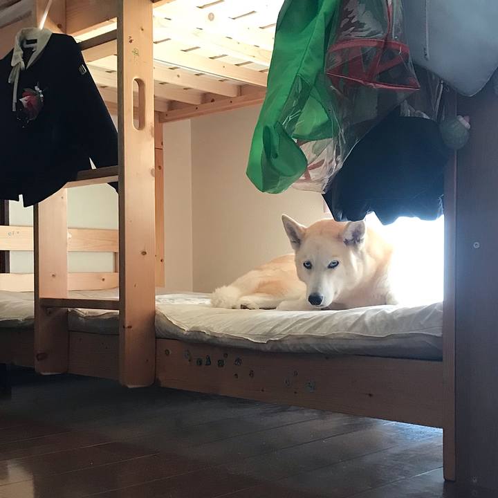 4ec07022 ac44 4a1c ba3e c3efba441958 1746604444200