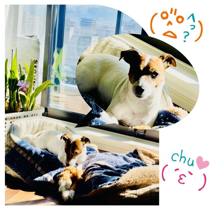 4ec0aa69 af6b 46f8 b00f c767cdc65c12 1740134915853