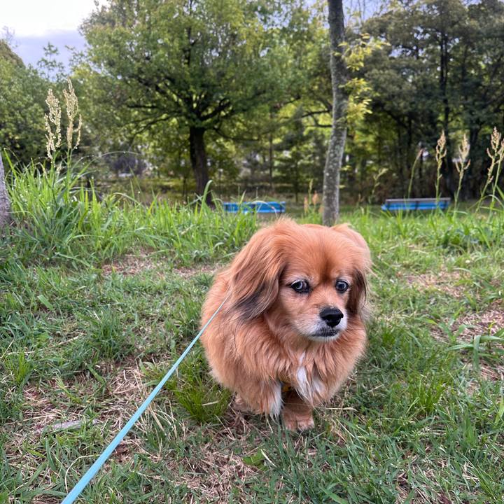 4ec0eb6b c542 463d bd47 016fbc02c51a 1745530293492