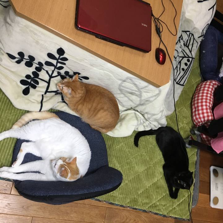 4ec0f697 4319 4bdb ae42 28d201381b5d 1546254555365