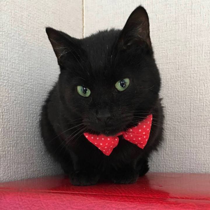 4ec131fe afdd 41cf a113 e764c7c739dc 1613259147751