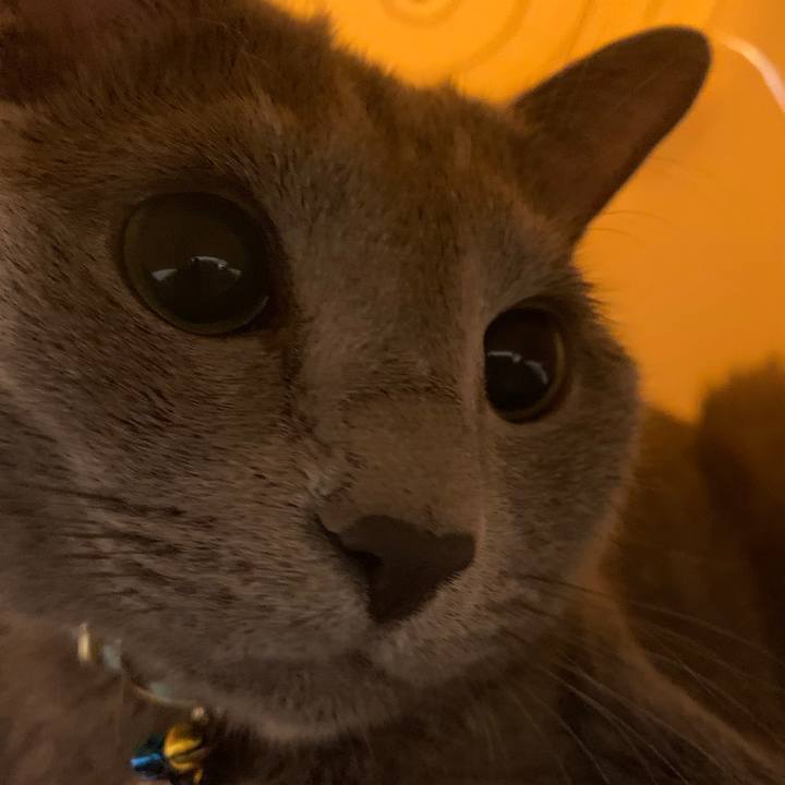 4ec13761 1f0c 4ff1 a76b 317fbcd1f79f 1632964421488