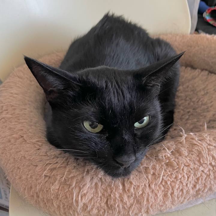 4ec1404e e9ad 4bbb ac5b 0118e38c0584 1697937210190