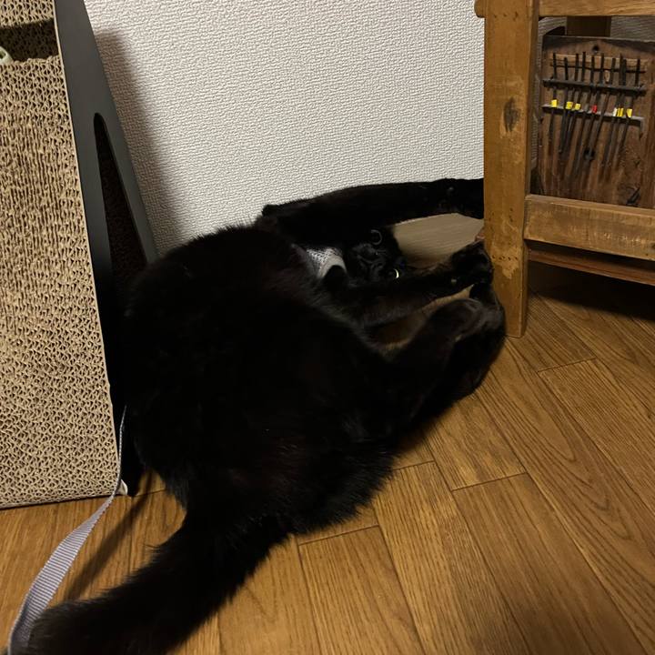 4ec1739d f8c6 4bcf b14c a3b3165cbbd9 1676865022067