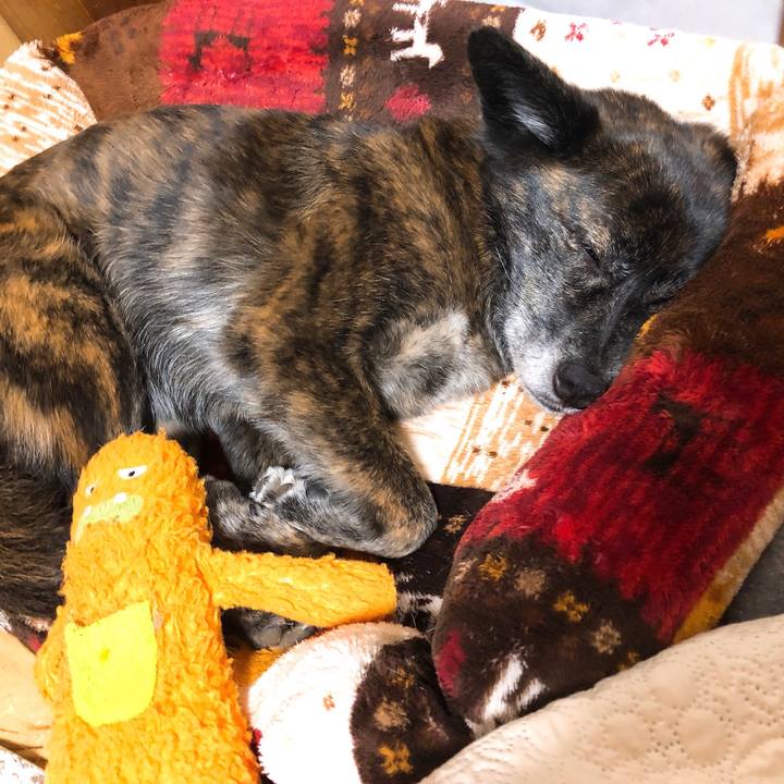 4ec17b2c c9e4 482c 9eb1 7697de0334bb 1586099512193