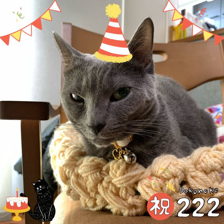 4ec17e31 6699 42ac 939f fd2d6ddf4218 1645518987582