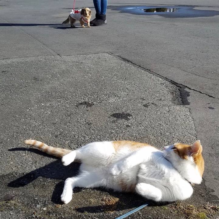 4ec198c6 c281 4d91 9a3e 9331afc59518 1515039995118