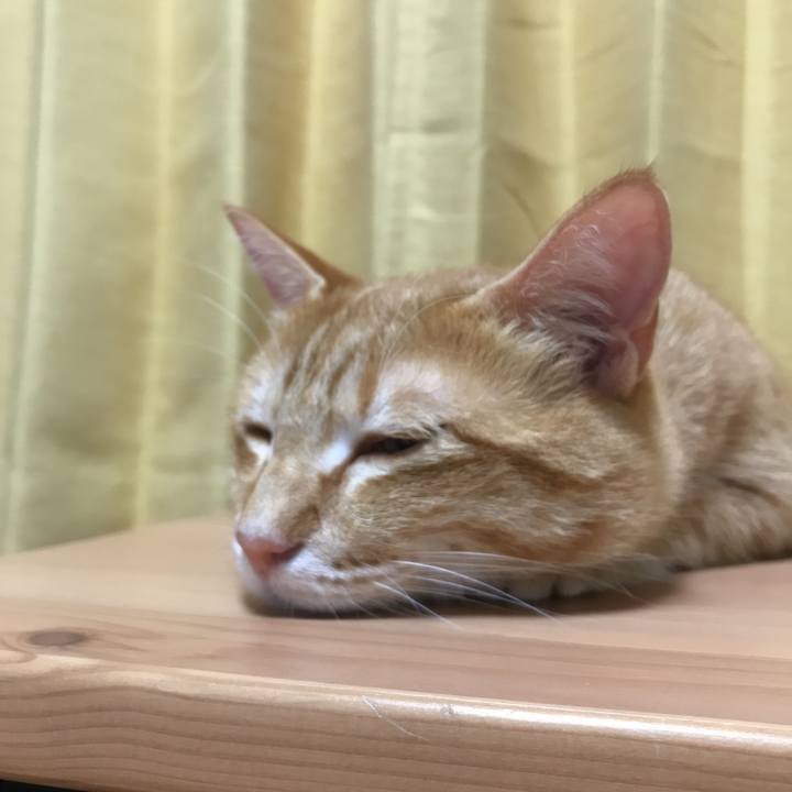 4ec1b19b 95d7 4269 8fbf bd62766511df 1526300928660