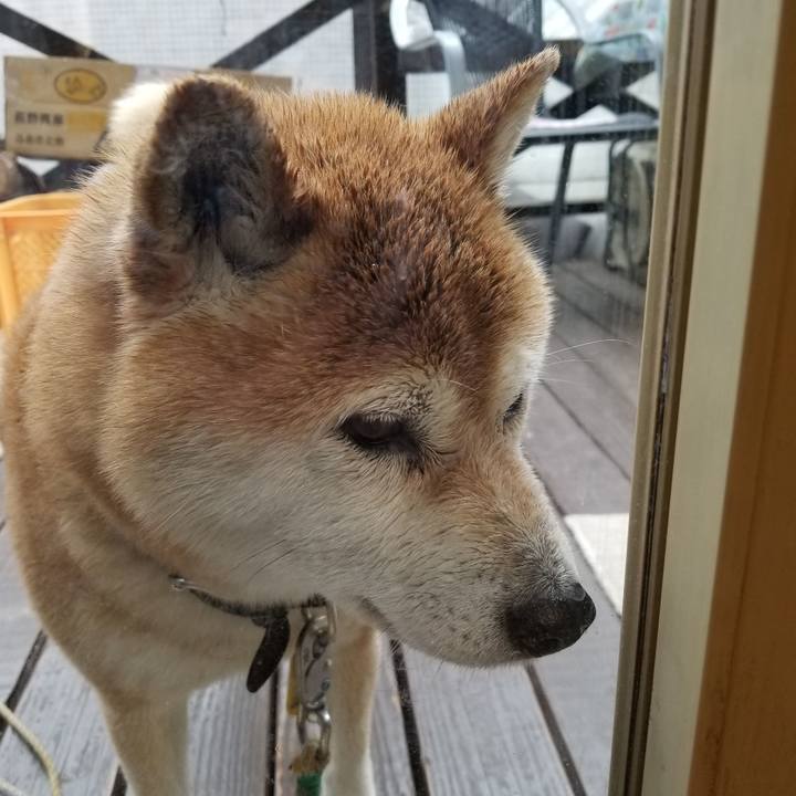 4ec1c371 afd4 43a5 be15 c415ca13a38d 1619939209784