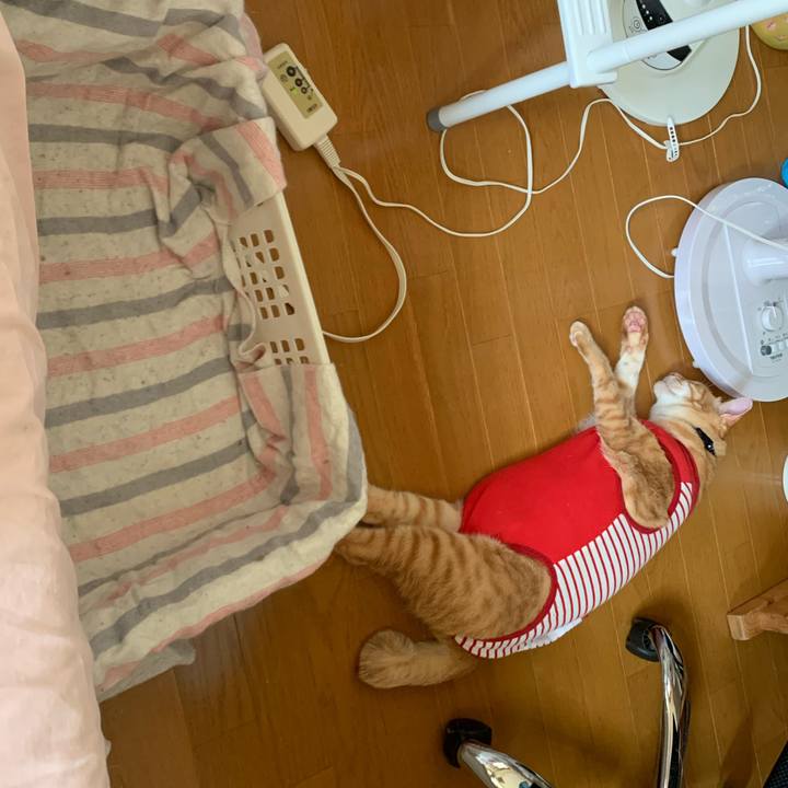 4ec1de6f 2554 4d51 8195 acde782f6e79 1590220290900