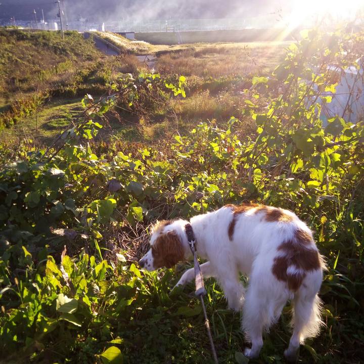 4ec2303e 2ba9 4fc7 894e d24b9bb25368 1511051904319