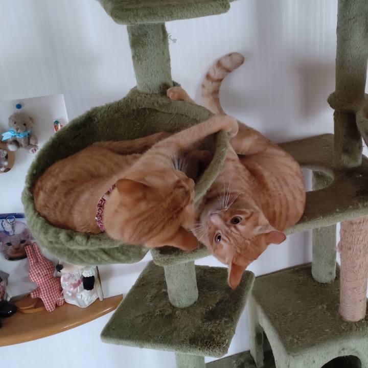 4ec2715d e5fb 41b4 8629 a82e64494d7d 1723017869229