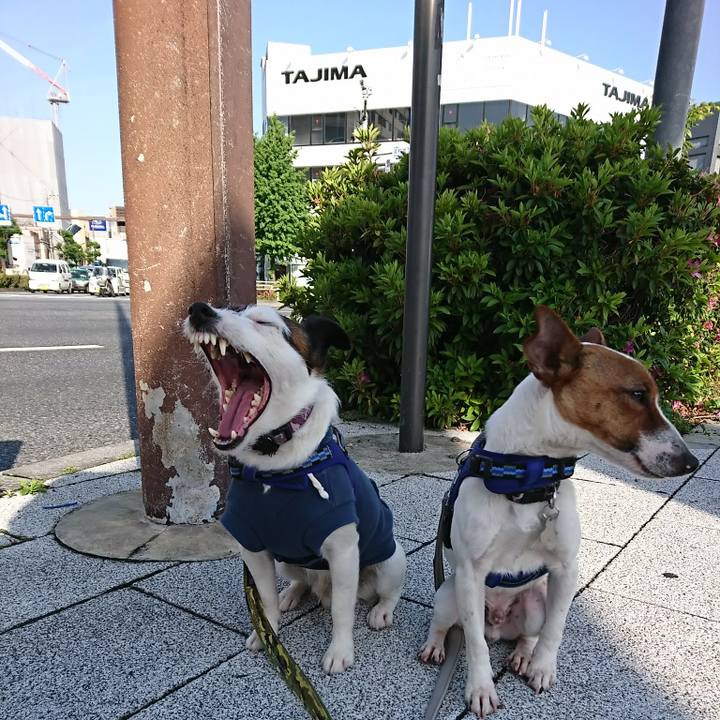 4ec27993 8b4f 4e14 9c3b f8c66591d755 1525991297207