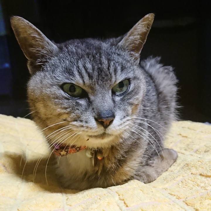 4ec2e2d9 becf 45ff b501 dd3bd6cfe6bd 1594373737853