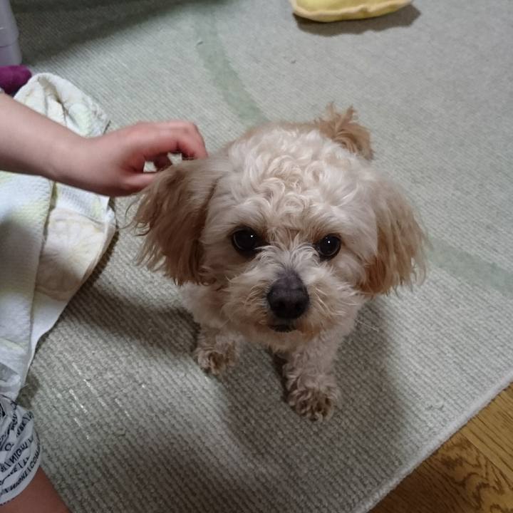 4ec2e6af 3fe3 4fe3 8604 47f0b4d1905b 1558791582727