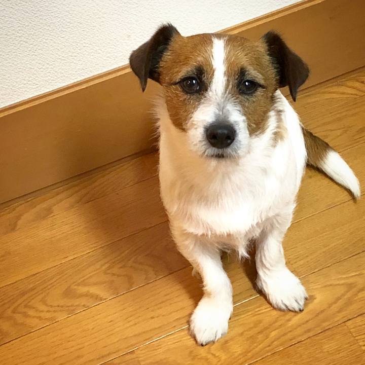 4ec3114b 81f2 4468 96cf 896e37d93ebe 1525091484471