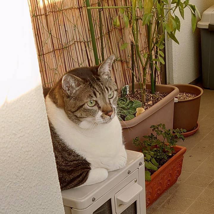 4ec3483c 6f76 418b a60f cda0e6f6433c 1607899249034