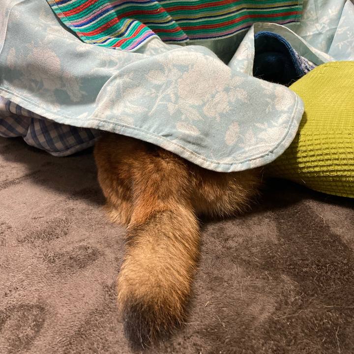 4ec3550c 5bc0 4fd3 b3de 17264f3c386c 1698713720376