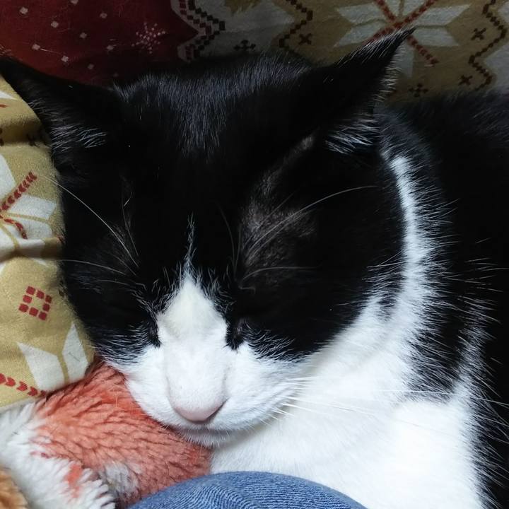 4ec3712a 4e3b 4bd7 9e21 72e9b52977d6 1581931583025