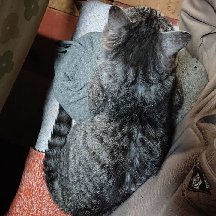 4ec383cb ff06 4d95 827e 5c9fea79a7ba 1575286185208