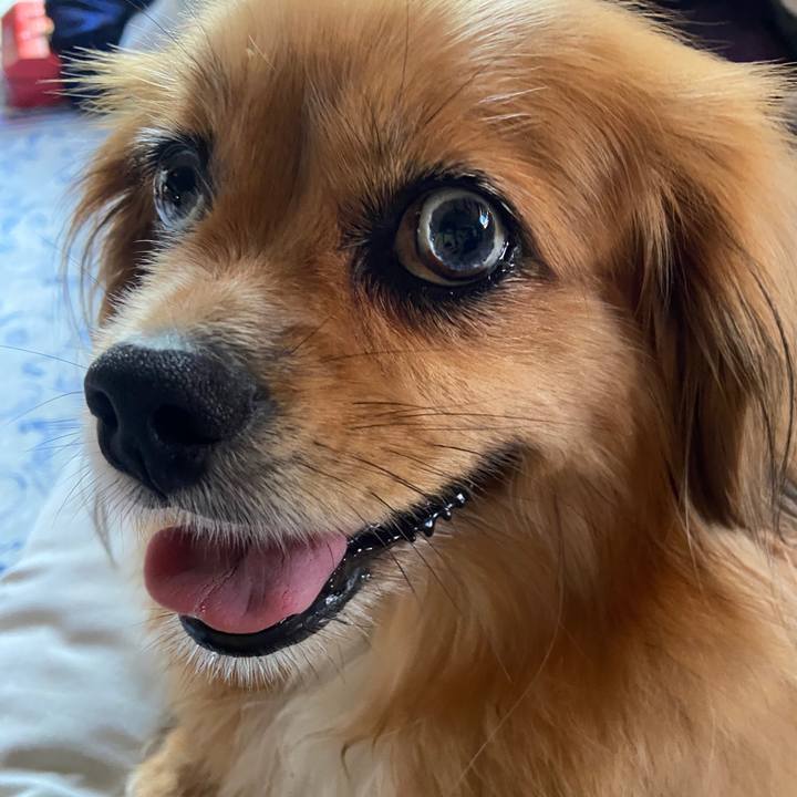 4ec3c348 17af 4ab1 b6ac d7d4ccdae67e 1659305690434